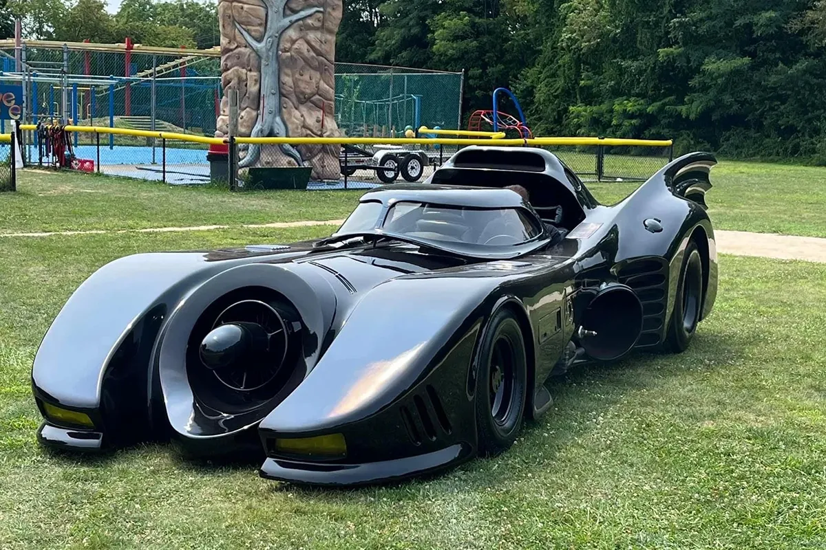 Professional driver with luxury car